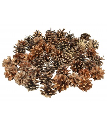 SZYSZKI SOSNY RĘCZNIE...