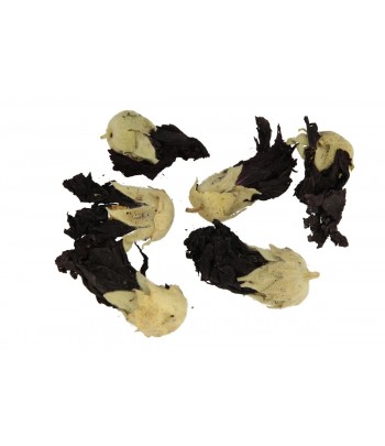 SUSZ DO ŚWIEC KWIAT MALWY...