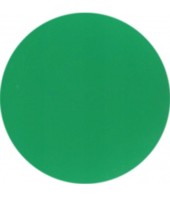 BARWNIK MIĘTOWY 5 G DO...